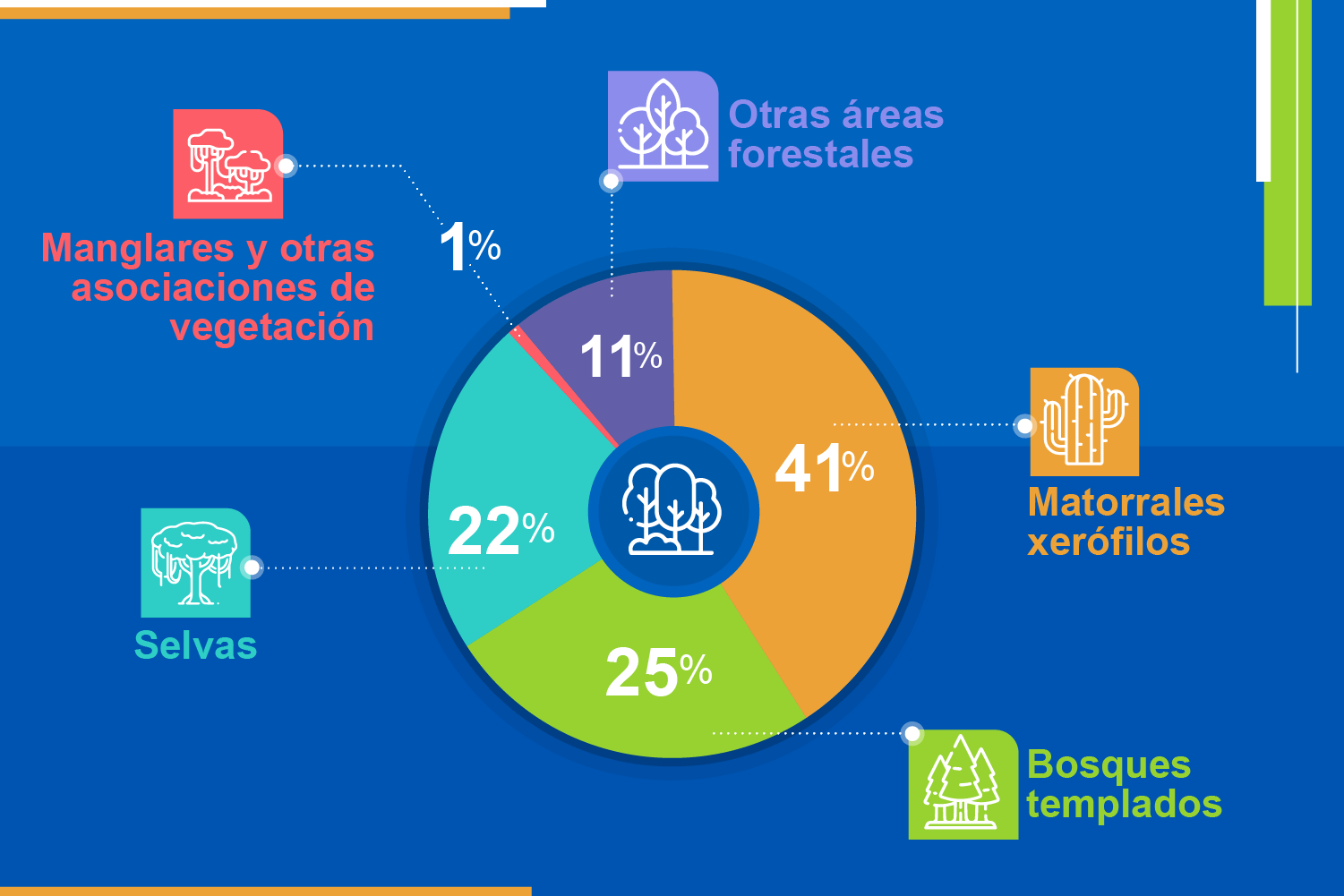 Jornadas De Reforestación Más árboles Para México Iberdrola México 3815